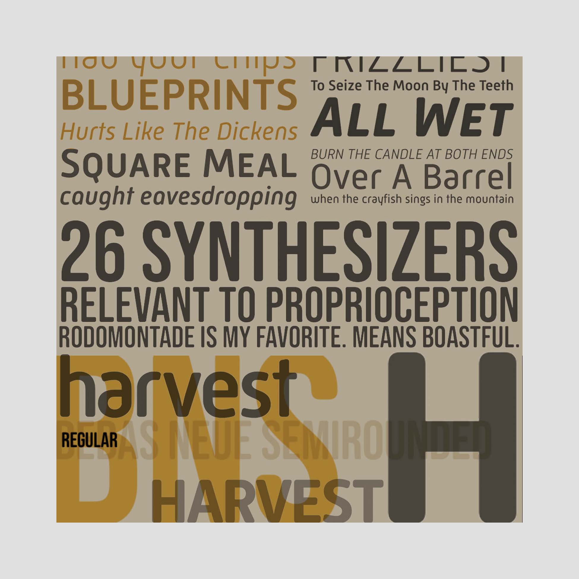 ip Harvest restaurant typefaces mockup by design direction llc