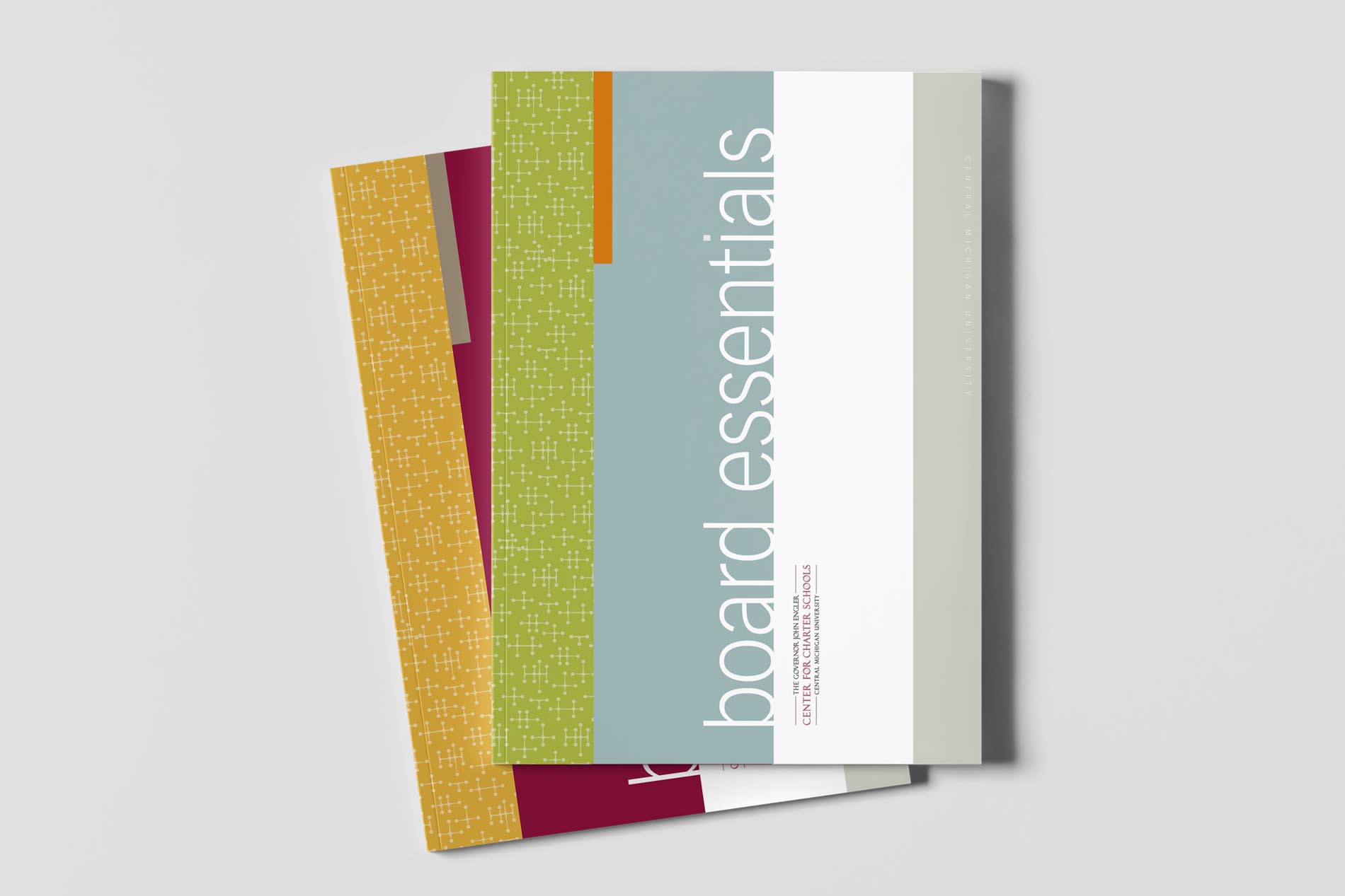 ip Charter Schools Board Essentials guidebook cover mockup by Design Direction