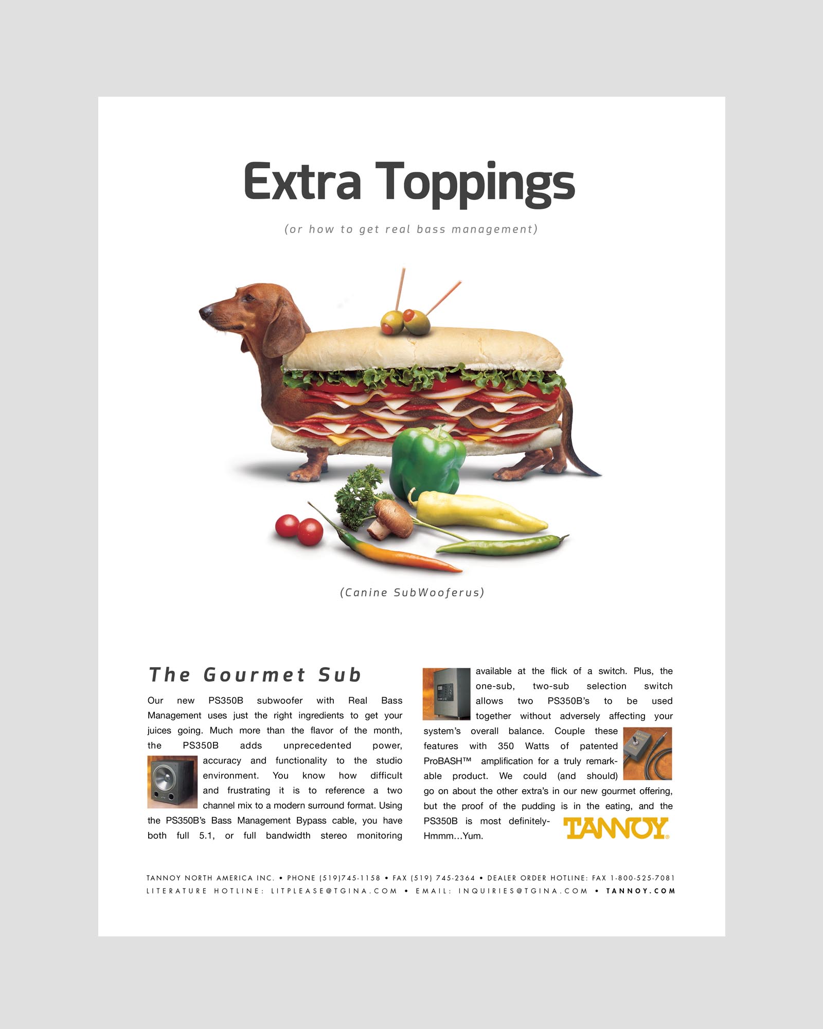 ip tannoy advertising photography dachshund ad by design direction ClarkMost
