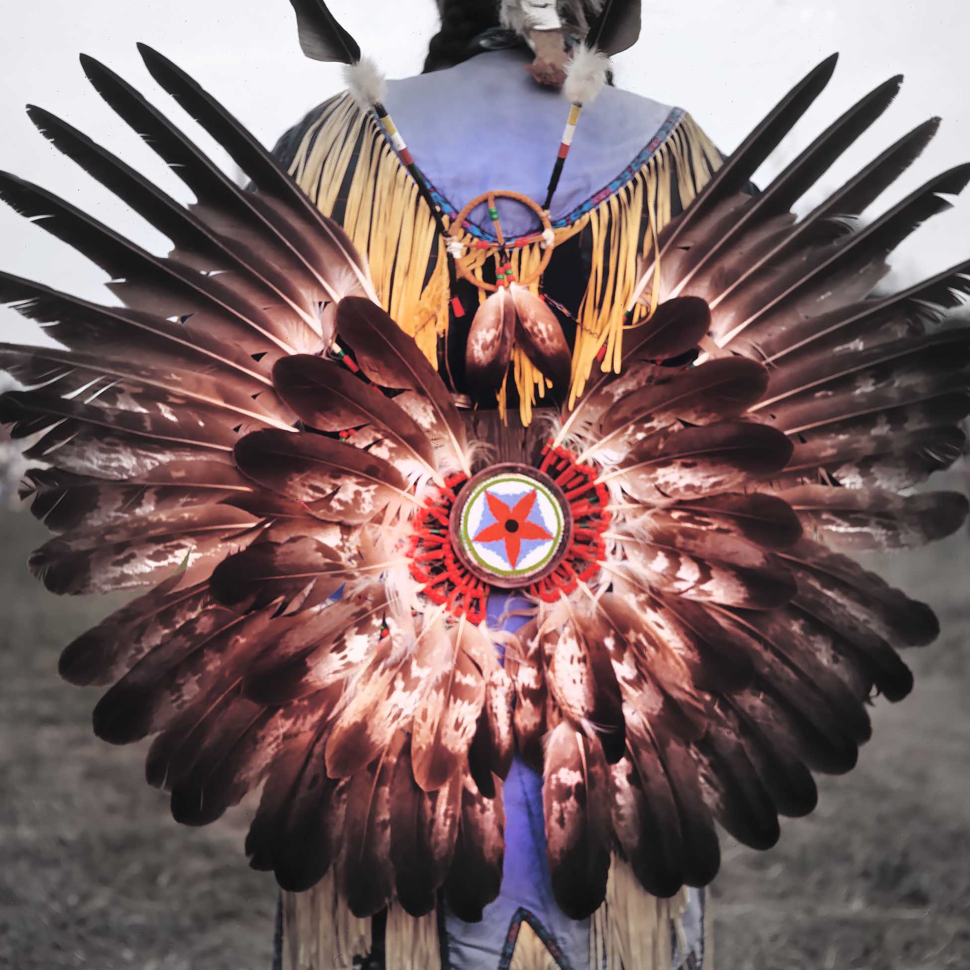 ip Pine Ridge Story Sioux website powwow regalia photo by Design Direction llc clark most
